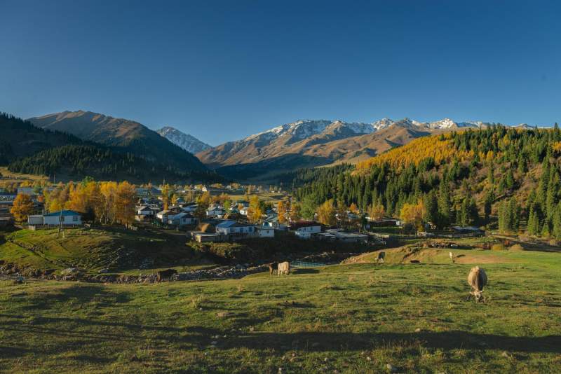 How to get from Karakol to Jyrgalan Village